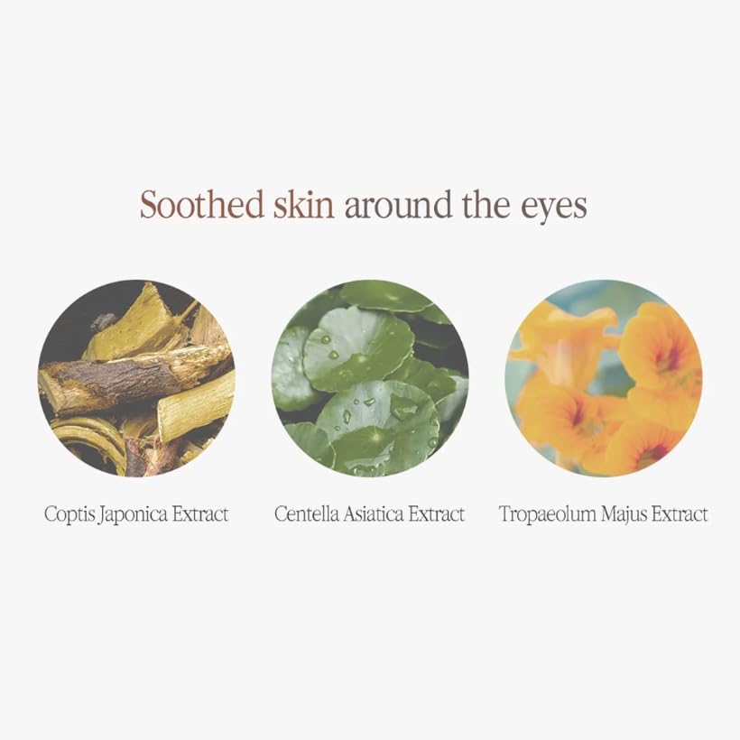 Pyunkang Yul Black Tea Time Reverse Eye Cream