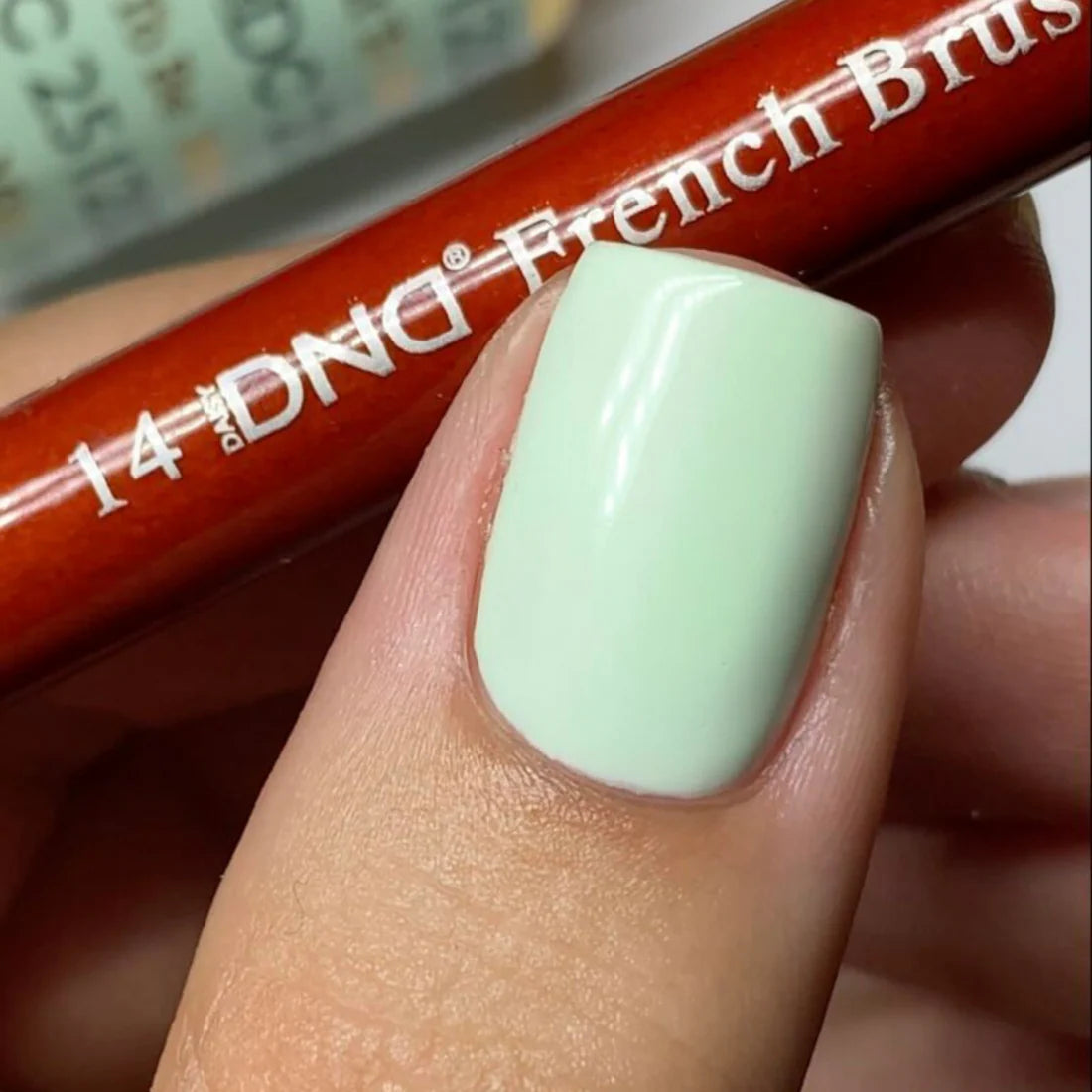 DND French Brush