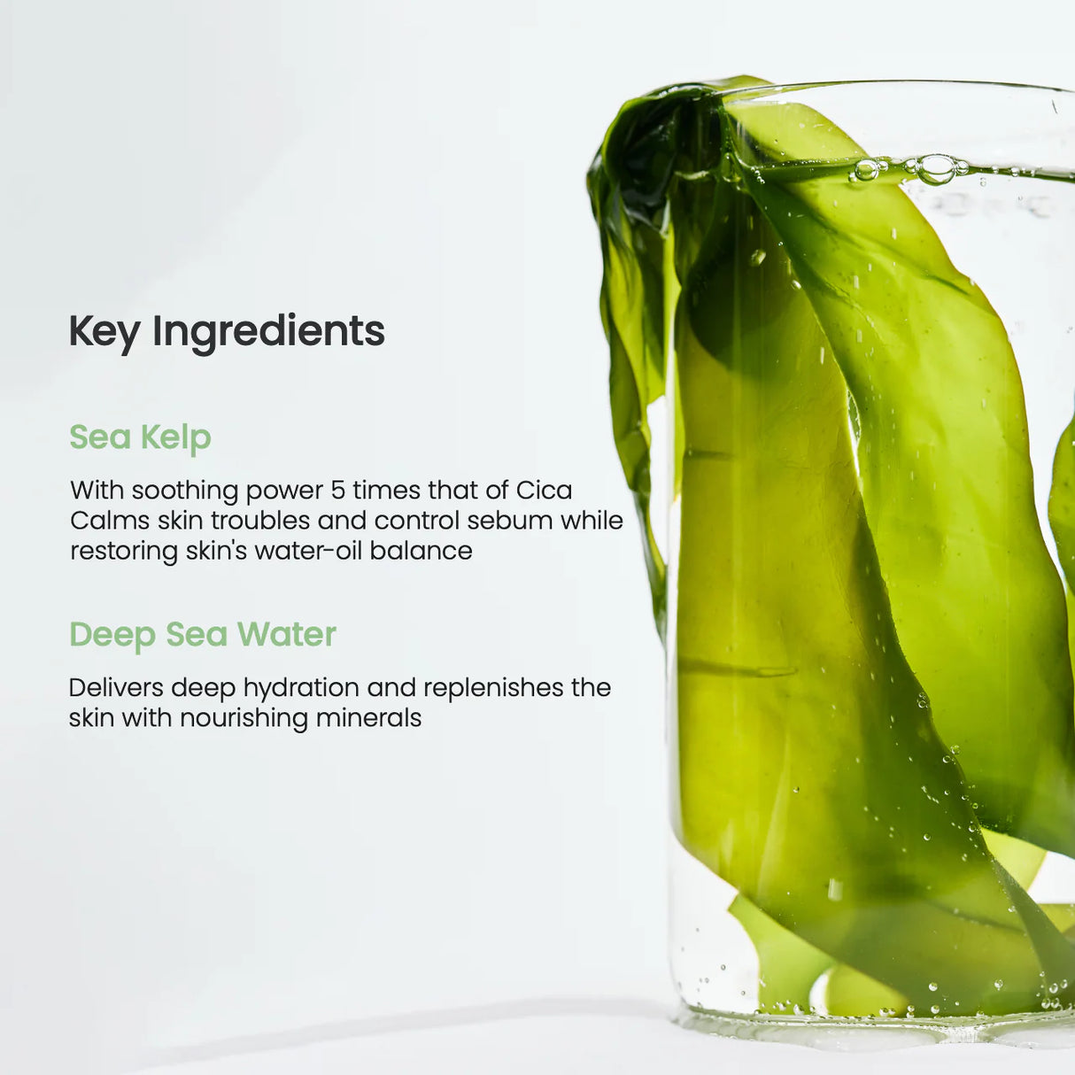 BIODANCE Refreshing Sea Kelp Real Deep Mask 1Box (34g*4ea)