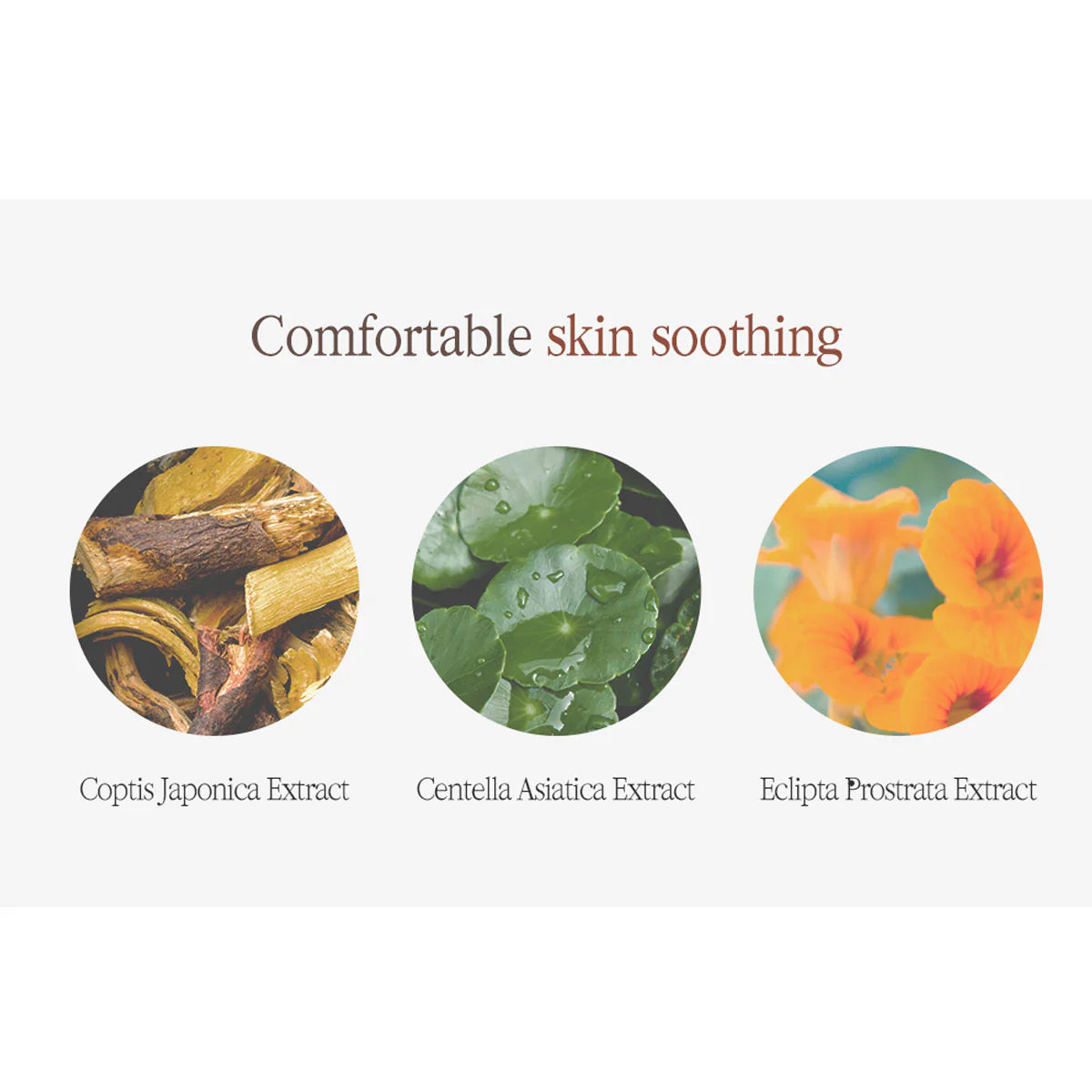 Pyunkang Yul Black Tea Boosting Serum 45mL