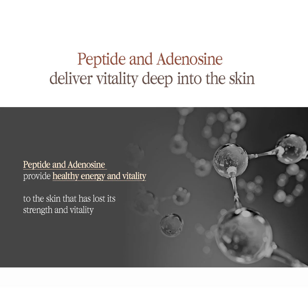 Pyunkang Yul Black Tea Boosting Serum 45mL