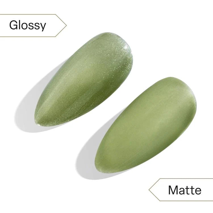 Apres Velvet Cat Eye - Astral Gel Couleur - The World CE20