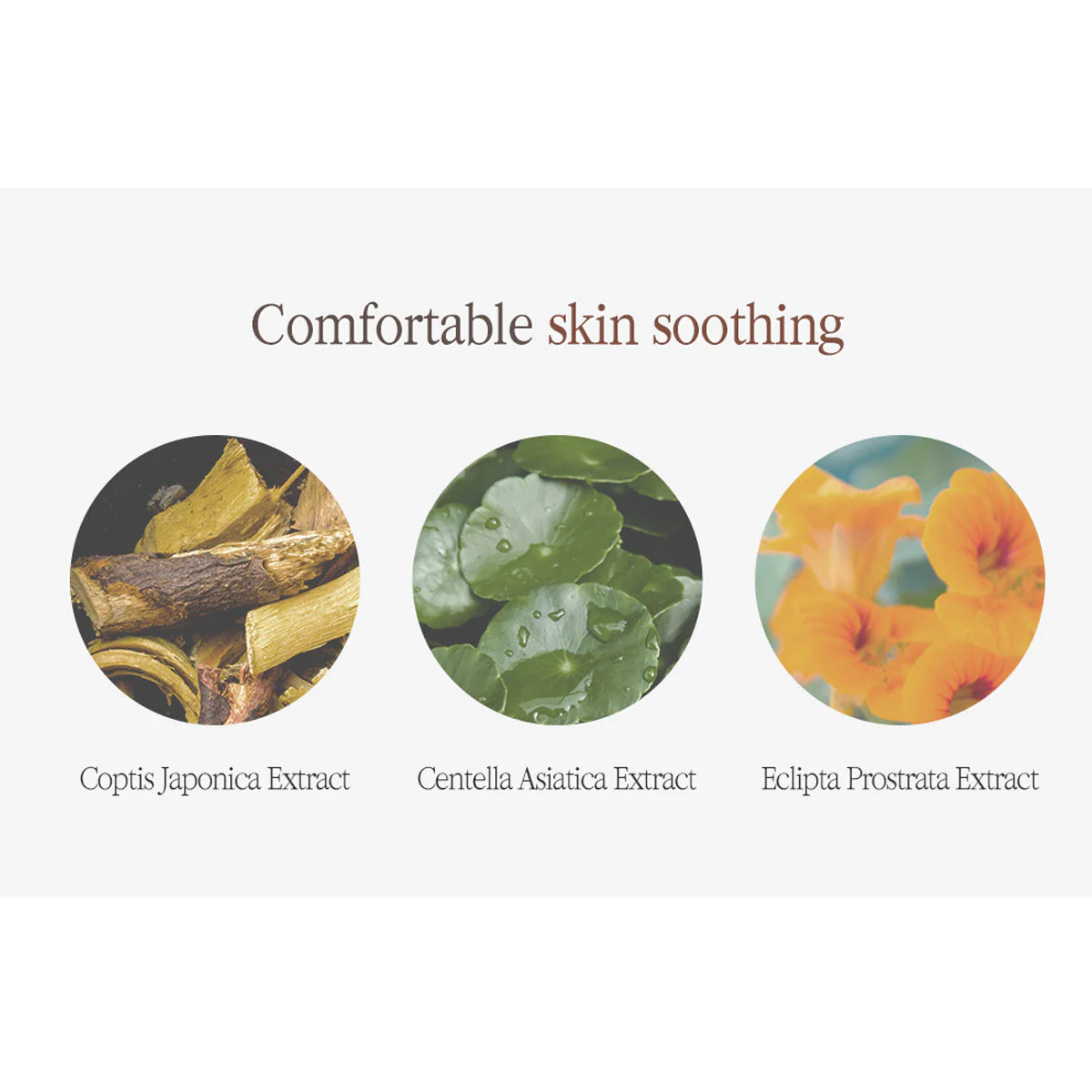 Pyunkang Yul Black Tea Enriched Cream 60ml