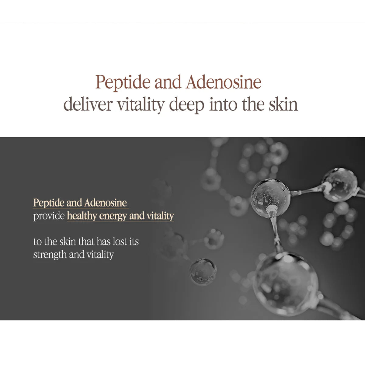 Pyunkang Yul Black Tea Enriched Cream 60ml