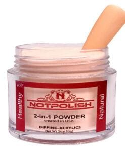 NOTPOLISH 2 In 1 Powder OG 108 Wild Dream