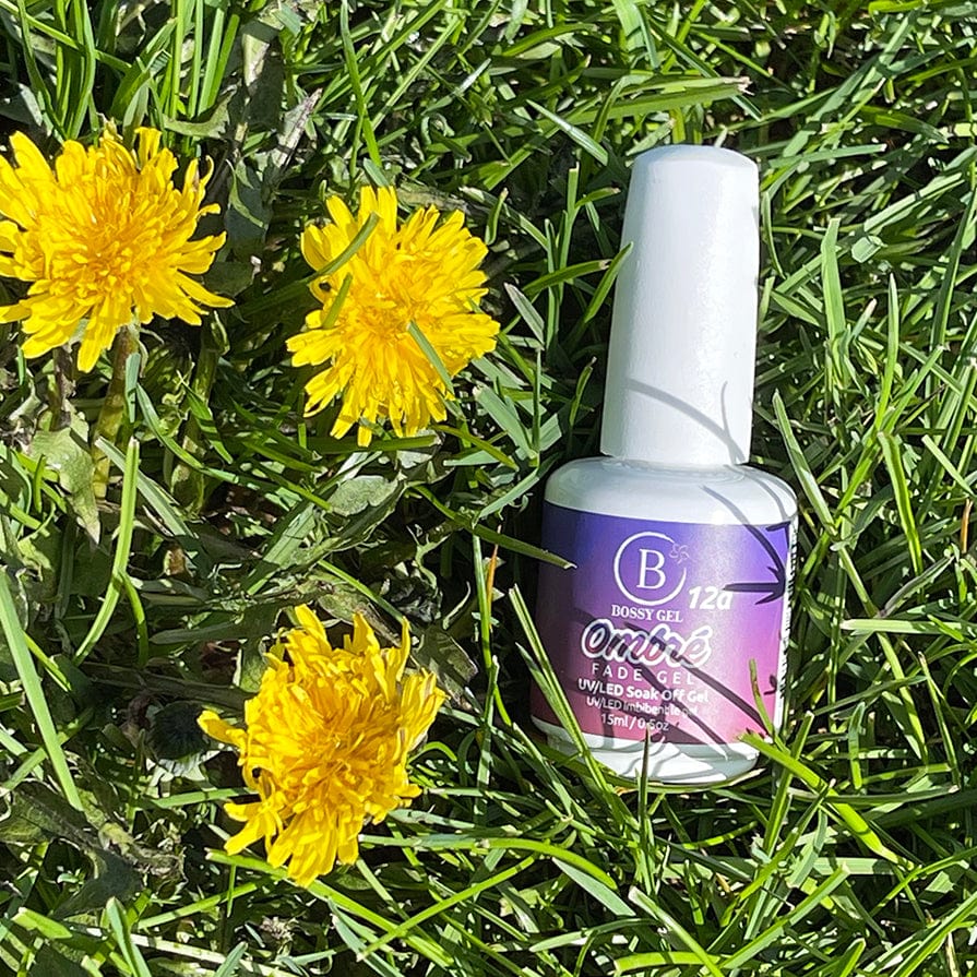 Bossy Gel Polish Ombre 12a