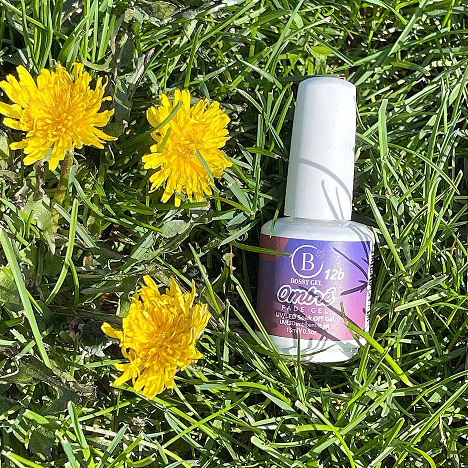 Bossy Gel Polish Ombre 12b
