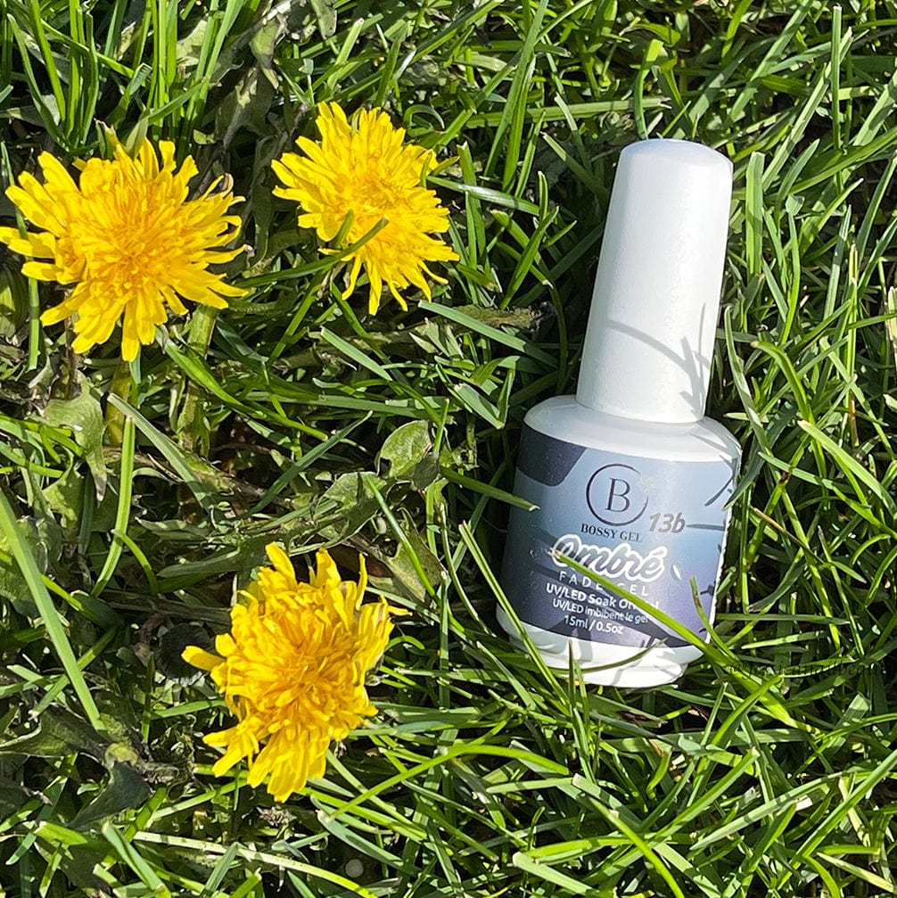Bossy Gel Polish Ombre 13b