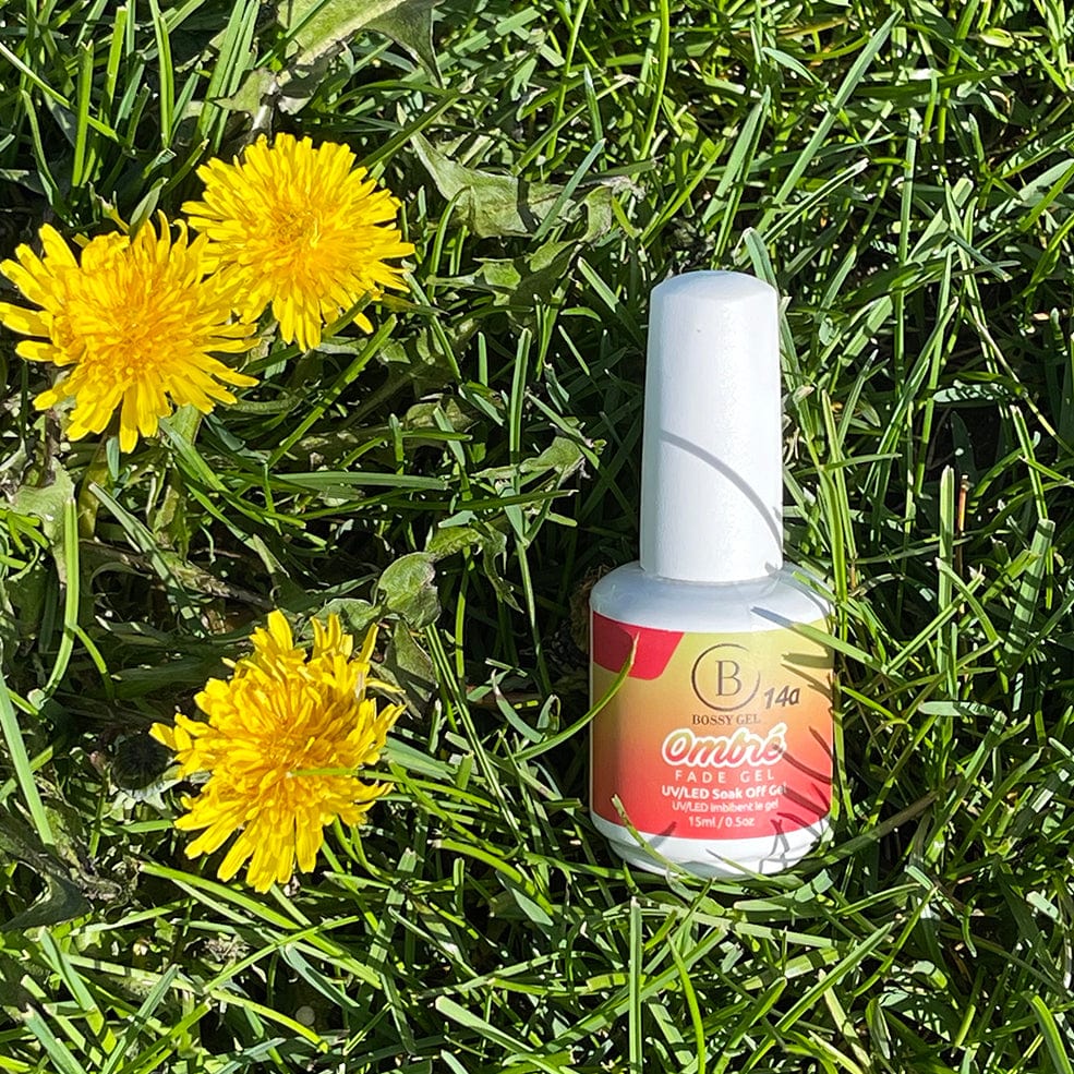 Bossy Gel Polish Ombre 14a