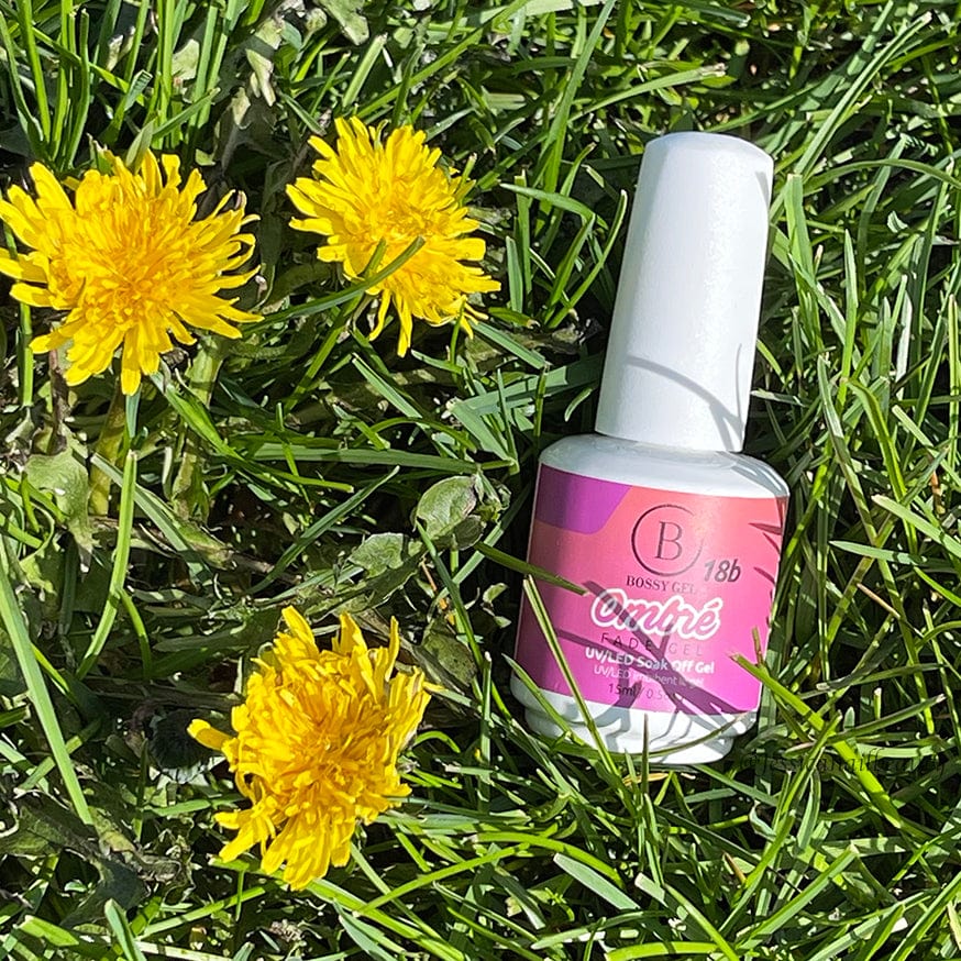 Bossy Gel Polish Ombre 18b