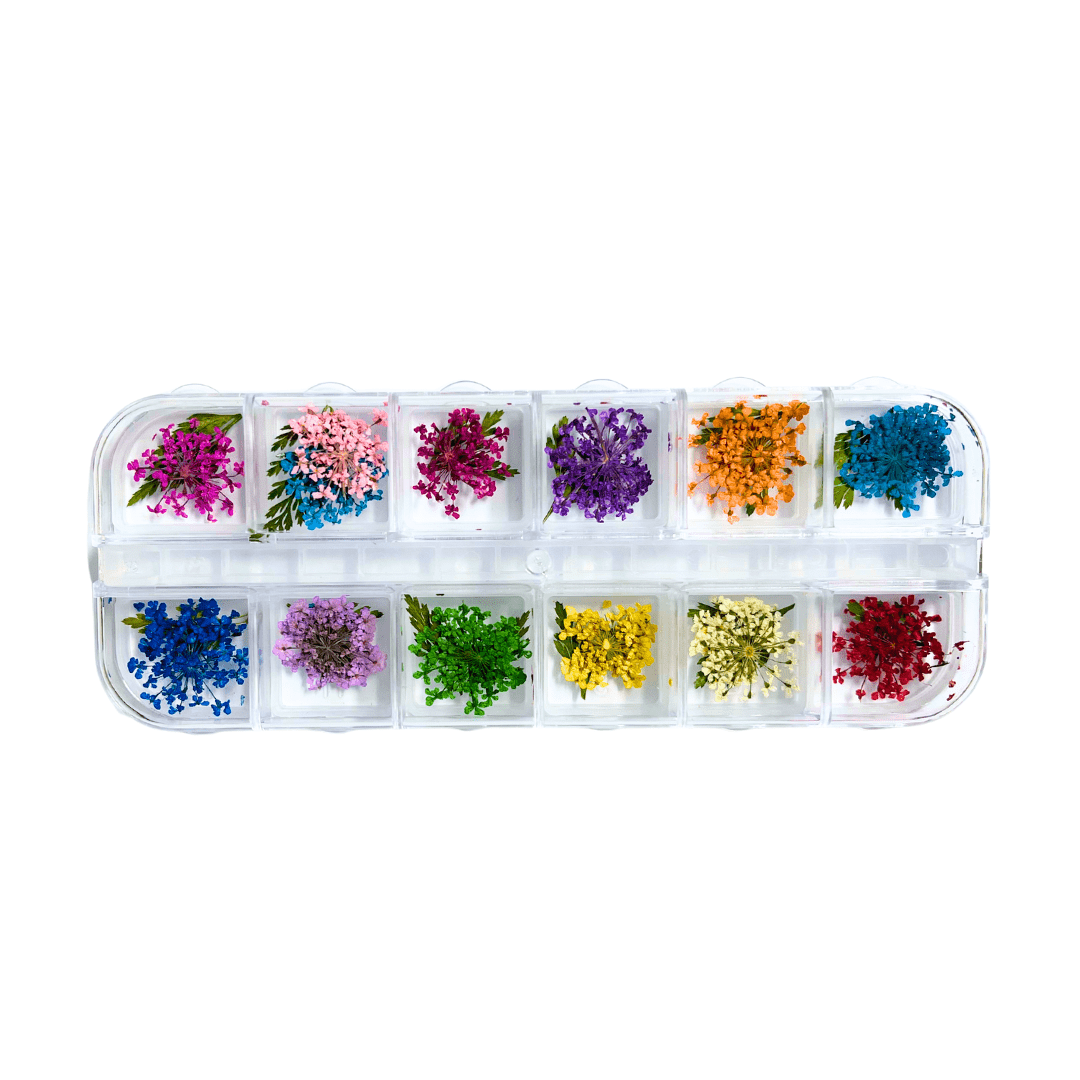 JNBS Nail Art Dried Flower Set 16 (Box of 12 Colors)