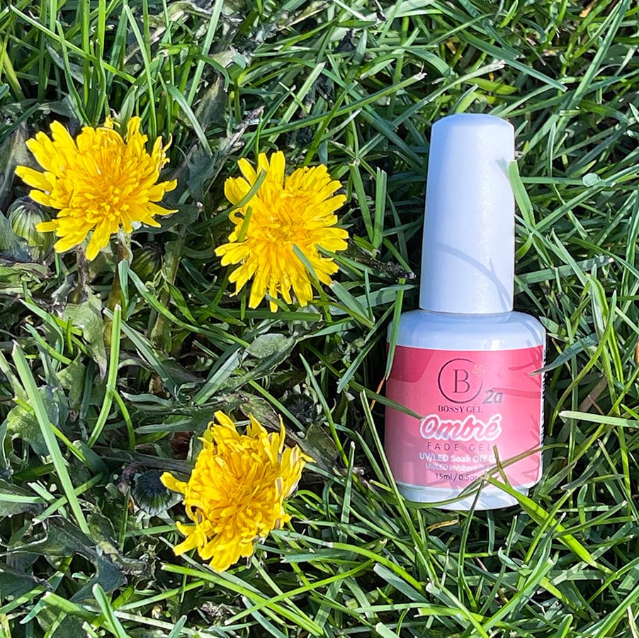 Bossy Gel Polish Ombre 2a