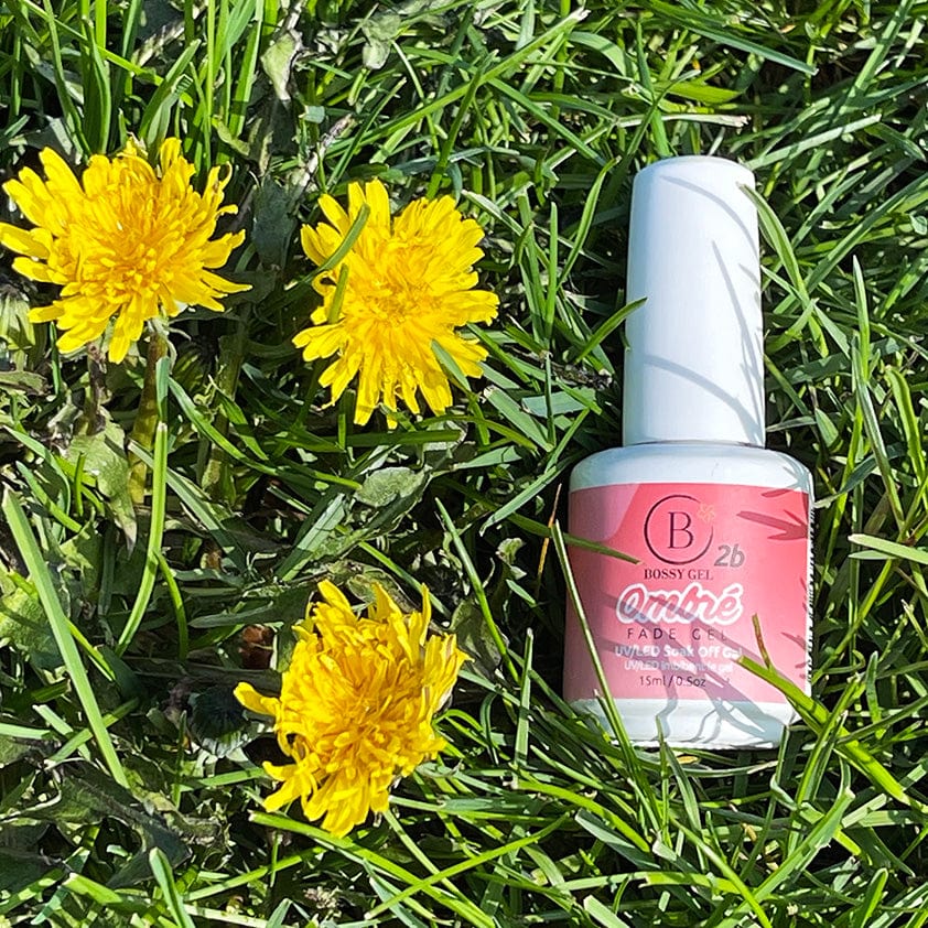 Bossy Gel Polish Ombre 2b
