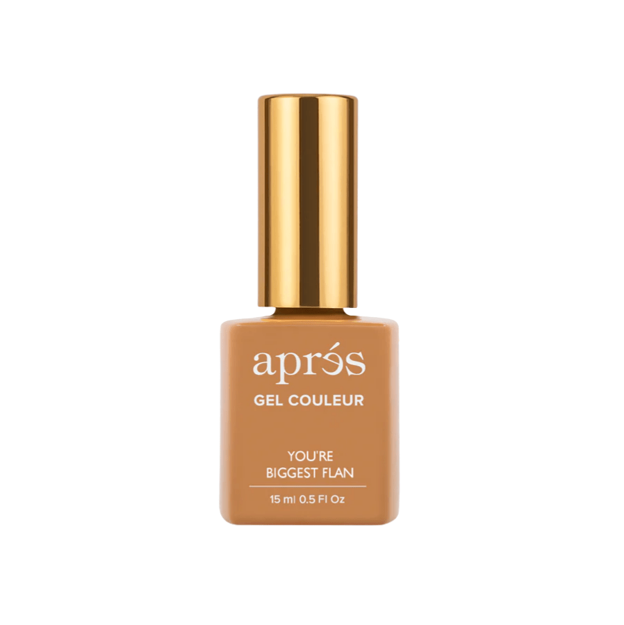 Apres Gel Couleur 304 Youre Biggest Flan