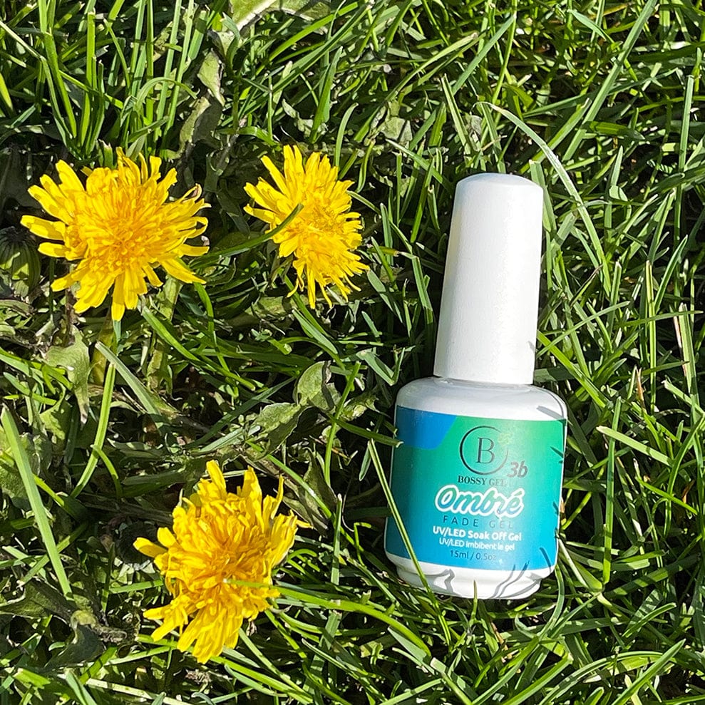 Bossy Gel Polish Ombre 3b