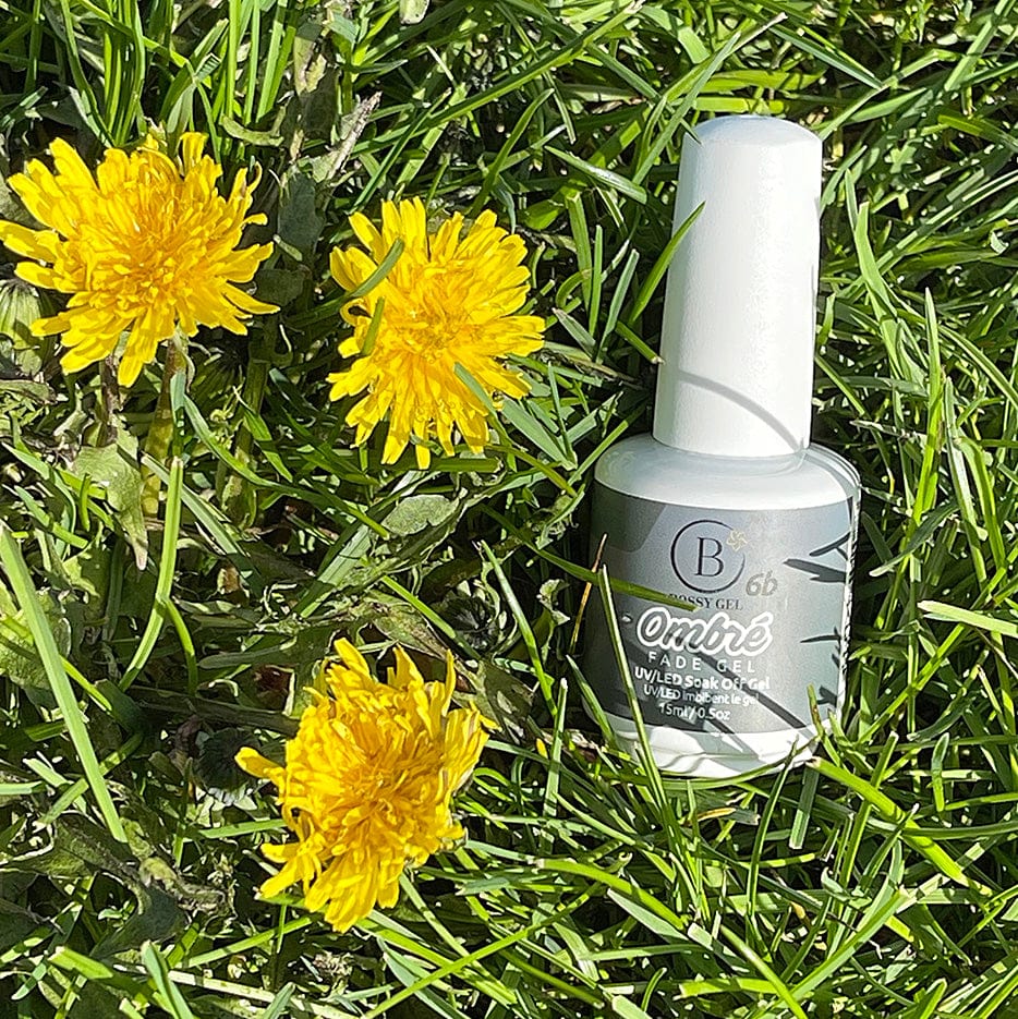 Bossy Gel Polish Ombre 6b