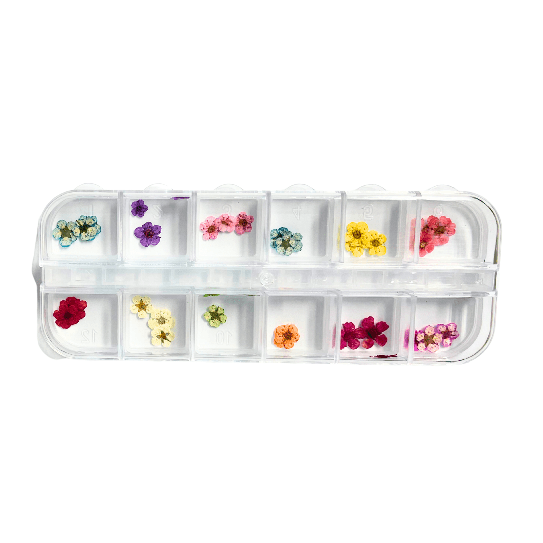JNBS Nail Art Dried Flower Set 19 (Box of 12 Colors)