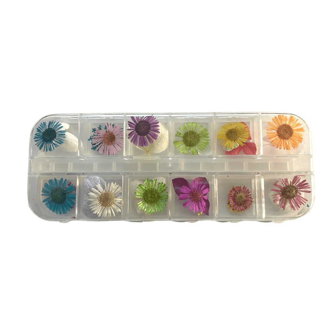 JNBS Nail Flakes Flowers Multi Colors