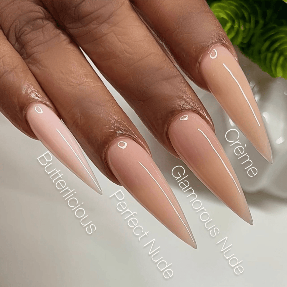 V Beauty Pure Acrylic Powder 1.5 oz Crème