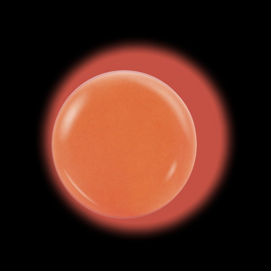 NOTPOLISH Powder Glow In The Dark Collection G29 No Apologies