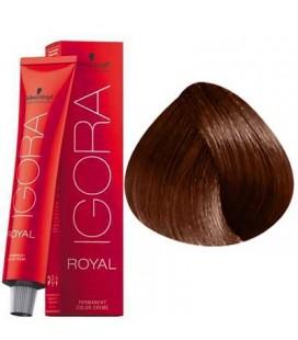 Schwarzkopf Permanent Color - Igora Royal #6-68 Dark Blonde Chocolate Red - Jessica Nail & Beauty Supply - Canada Nail Beauty Supply - hair colour