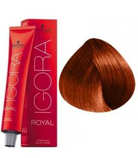 Schwarzkopf Permanent Color - Igora Royal #8-77 Light Blonde Copper Extra - Jessica Nail & Beauty Supply - Canada Nail Beauty Supply - hair colour