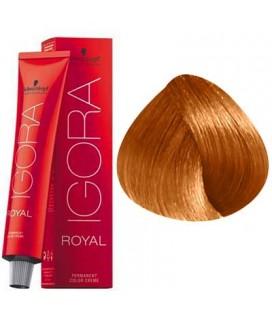Schwarzkopf Permanent Color - Igora Royal #9-7 Extra Light Blonde Copper 60g - Jessica Nail & Beauty Supply - Canada Nail Beauty Supply - hair colour