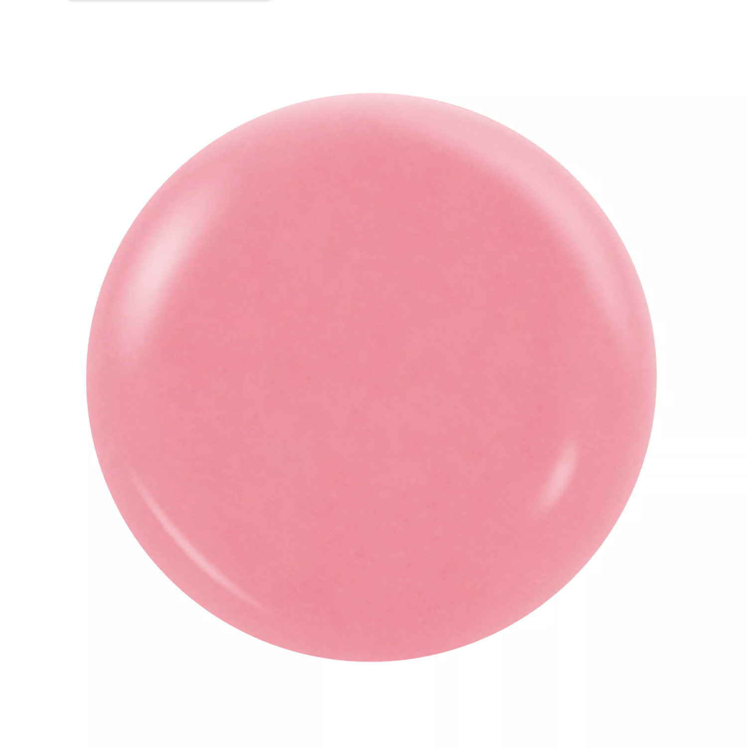 NOTPOLISH Powder Collection Revenge Ex