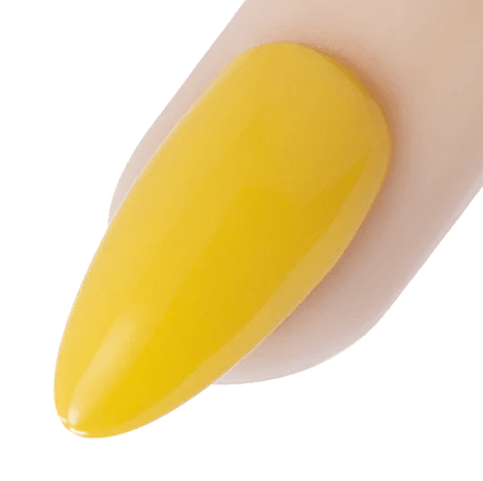 Young Nails Gel Art Paint SOLAR