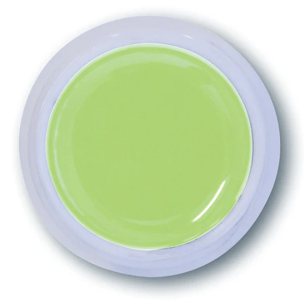 Young Nails Gel Art Paint CLASH