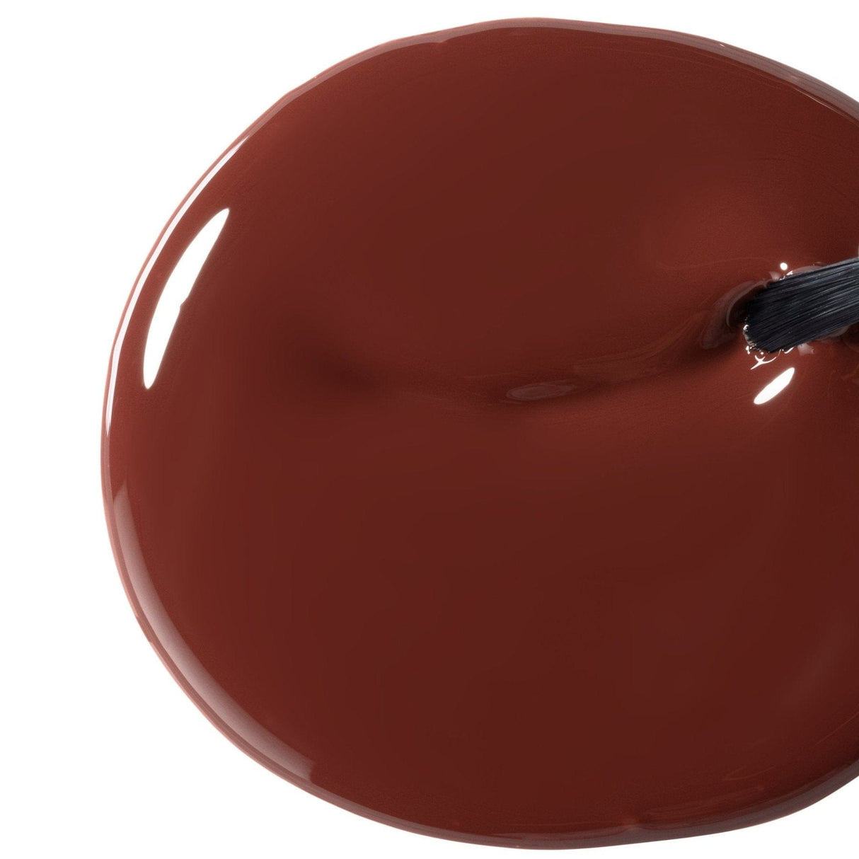 Bio Seaweed Gel Fall 2021 Collection Living Lush