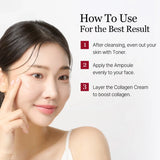 Round Lab Camellia Deep Collagen Firming Ampoule 30mL