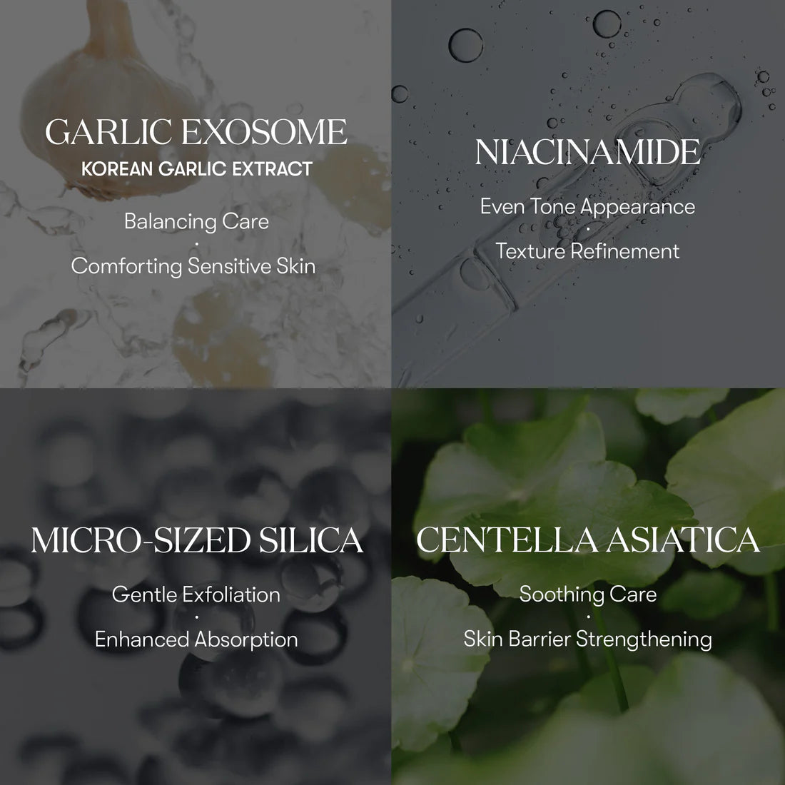 VT COSMETICS Garlic AC Reedle Shot Gel Cream 50mL