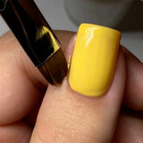 DND French Brush