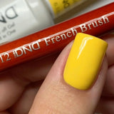 DND French Brush