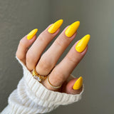 DND DIVA Duo Gel Matching Color 204