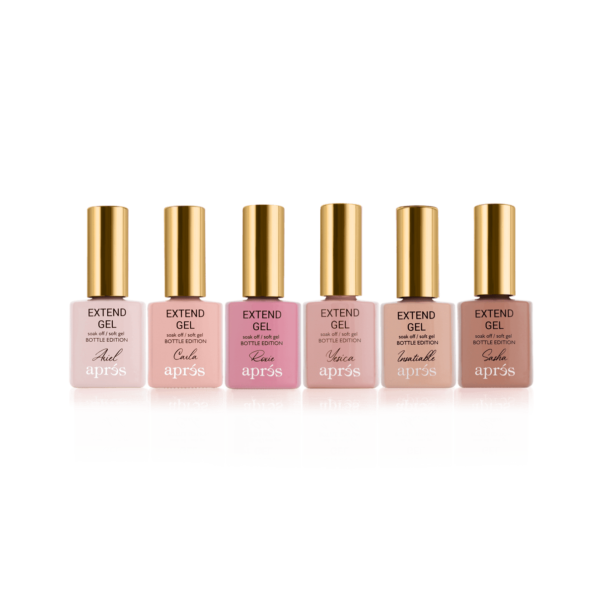 Apres Color Extend Gel In Bottle Set of 6 Bottles