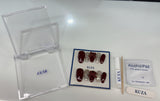 KUZA Press On Nails - Almond Burgundy Velvet Bow - 8869/8870/8871