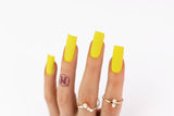 NOTPOLISH Gel Duo M41 Dirty Money