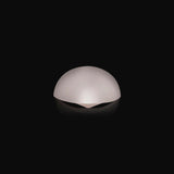 Apres Gel X™ NEUTRALS Box of 150pcs Whitney Natural Stiletto Tips