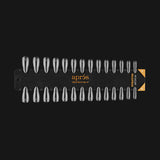 Apres Gel-X Tip Swatch