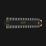 Apres Gel-X Tip Swatch