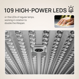 O NAIL Skin Health No.1 AI Nail Lamp