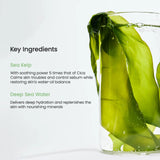 BIODANCE Refreshing Sea Kelp Real Deep Mask 1Box (34g*4ea)