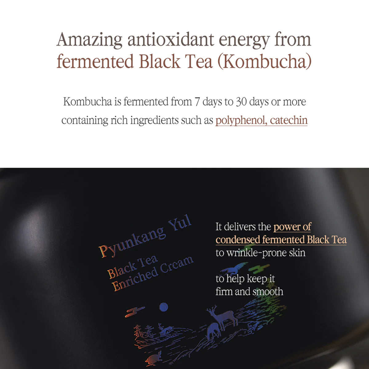 Pyunkang Yul Black Tea Enriched Cream 60ml