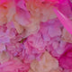 NOTPOLISH Powder Collection Candy Coated Jelly