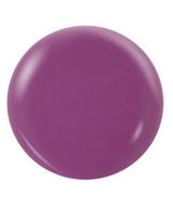 NOTPOLISH 2 In 1 Powder OG 194 Purple Haze