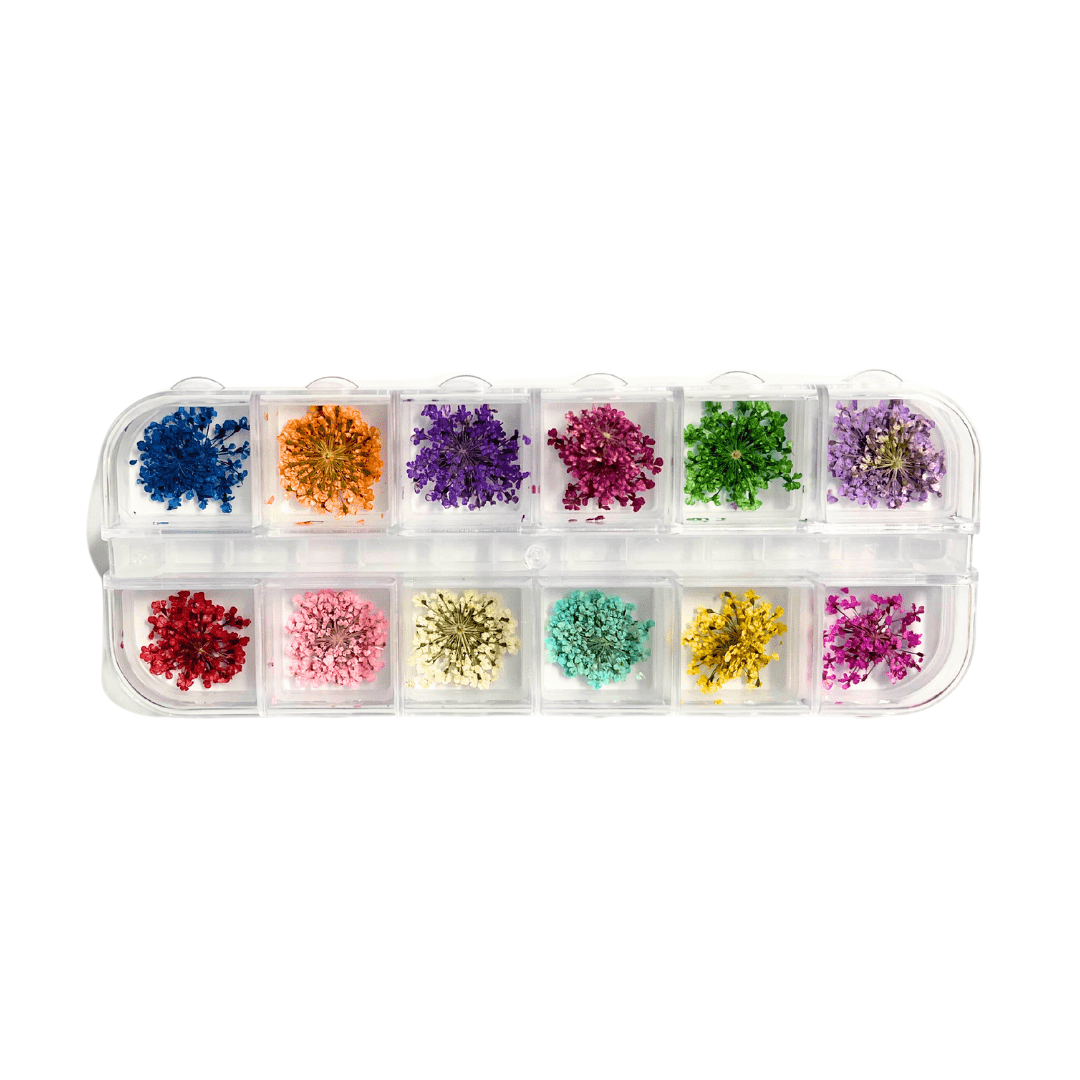 JNBS Nail Art Dried Flower Set 09 (Box of 12 Colors)