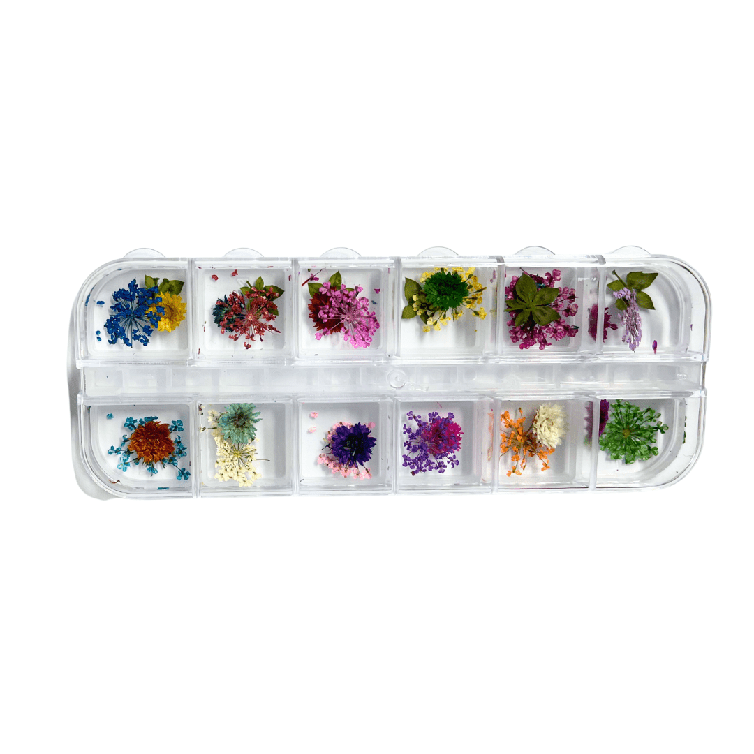 JNBS Nail Art Dried Flower Set 17 (Box of 12 Colors)