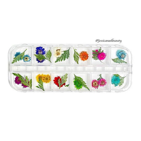 Nail Art - Dried Flower Set #01 ( Box of 12 Colors) - Jessica Nail & Beauty Supply - Canada Nail Beauty Supply - DRIED FLOWERS
